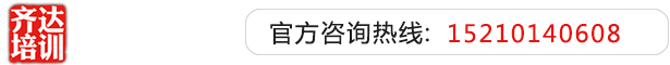 大黑吊草逼齐达艺考文化课-艺术生文化课,艺术类文化课,艺考生文化课logo